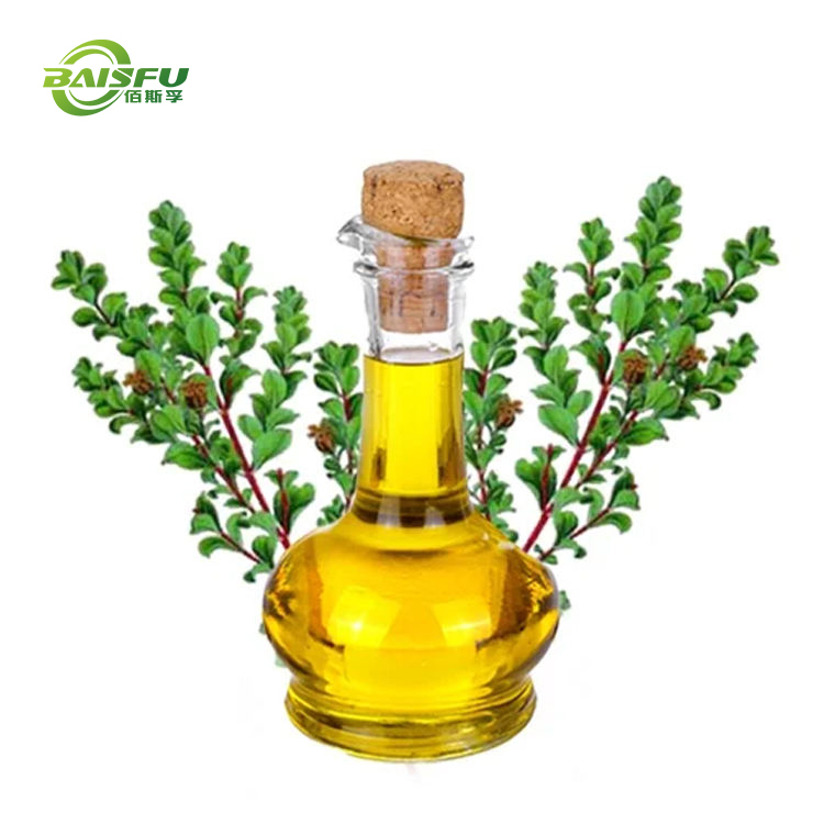 Buchu Oil CAS: 68650-46-4