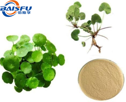 Manufactory offer high quality Natural Herbal plant Centella extract Centella 99% Centella CAS NO.84696-21-9