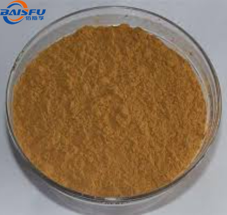 High quality 20% Polypodium leucotomos Extract Polypodium leucotomos PowderPolypodium leucotomos leaf powder