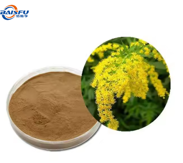 High quality pure Natural Organic SolidagoGolden Rod Extract Powder flavonoids 5% Solidago Extract 101