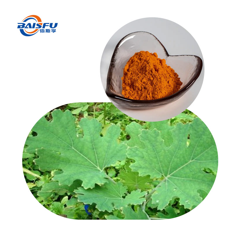 15--博落回提取物-Macleaya-cordata-extract-01.jpg