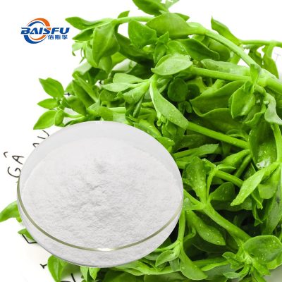 Andrographolide Extract Powder Food Grade Herbal Active Compound Andrographis Paniculata Extract for Functional Foods, Supplements and Nutraceutical Applications