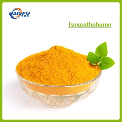 Isoxanthohumol Powder | Botanical Flavonoid Ingredient for Research, Food & Cosmetic Applications