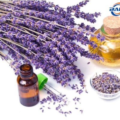Baisfu Natural Lavandin Oil – Pure Aromatic Essential Oil for Fragrance, Cosmetics & Aromatherapy Applications