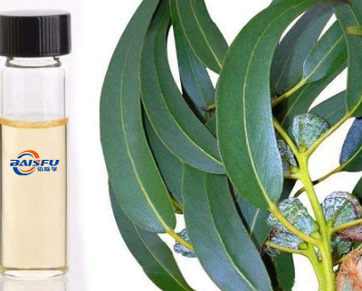 1,8-Cineole (Cineole / Eucalyptol) – High-Purity Natural Monoterpenoid Oxide for Food, Flavor, Fragrance, Pharmaceutical, Cosmetic, and Industrial Applications