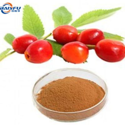 Premium Organic Rose Hips Extract Powder – 10% Vitamin C, 5:1 Concentrate | Food-Grade, Kosher/Halal Certified for Supplements, Cosmetics & Beverages