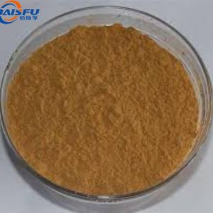 Polypodium Leucotomos Extract Powder – Natural Antioxidant & Skin Protection Ingredient  Wholesale Herbal Extract  Food & Cosmetic Additive