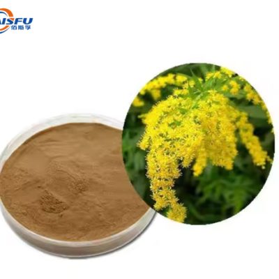 Solidago (Goldenrod) Extract Powder Natural Herbal Extract for Kidney Support, Anti-Inflammatory & Diuretic Applications